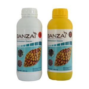 BANZAI