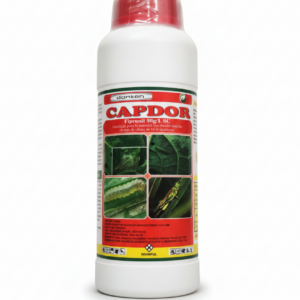 CAPDOR