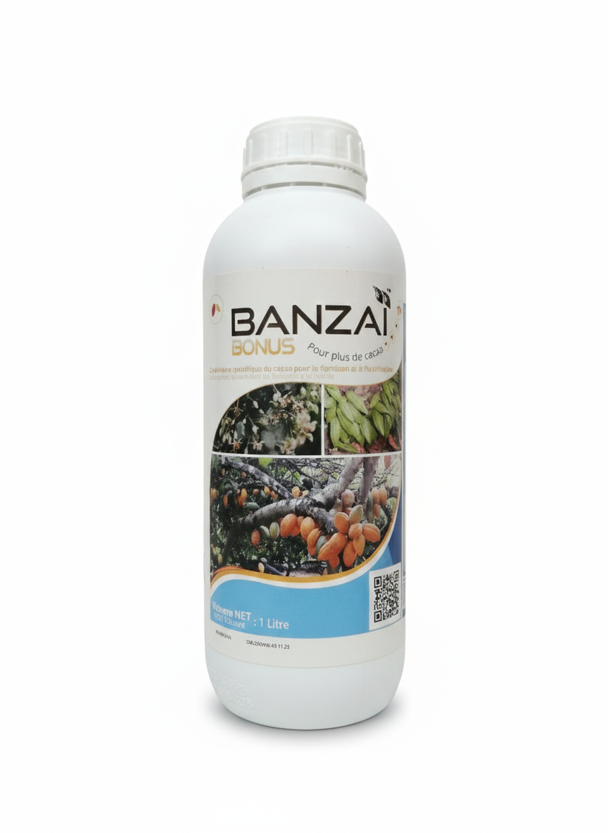 BANZAI – Image 3